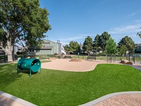 Colorado Springs apartment for rent - Dog Park at The Glen at Briargate, Colorado Springs, Colorado, 80920