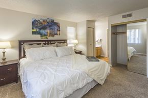 Colorado Springs apartment for rent - Large Bedroom En-Suite Bathroom at The Glen at Briargate, Colorado Springs, 80920