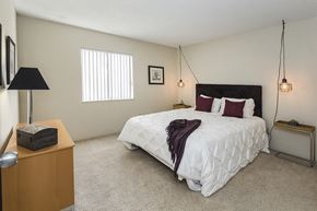 Colorado Springs apartment for rent - Beautiful Bright Bedroom With Wide Windows at The Parc at Briargate, Colorado Springs, Colorado