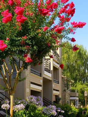 Concord apartment for rent - Exterior Photo