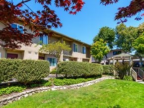 Castro Valley townhouse for rent - A row of houses with green lawns and trees.