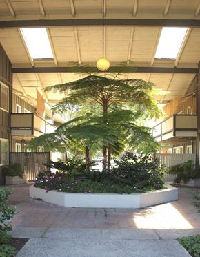 Mountain View apartment for rent - front entry
