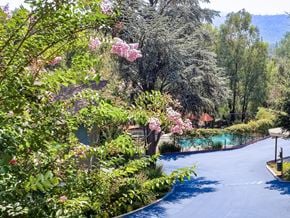 Los Gatos apartment for rent - A blue water slide in a garden with trees and flowers.