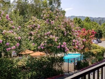 Los Gatos apartment for rent - A pool surrounded by a fence and flowers.