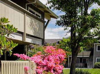Beautiful landscaping