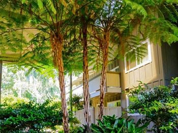 Beautiful landscaping