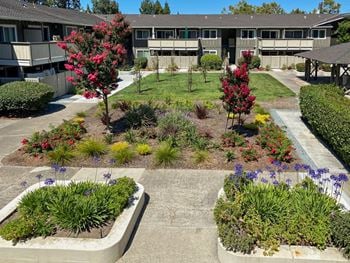 Beautiful landscaping