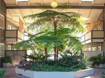 Beautiful landscaping