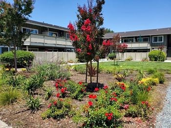 Beautiful landscaping