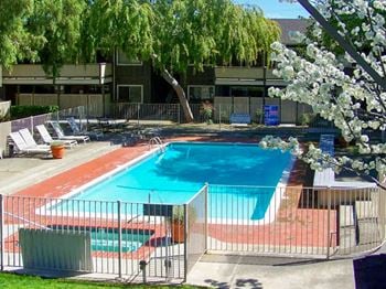 Shimmering swimming pool