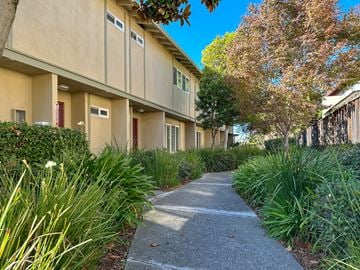 Castro Valley townhouse for rent - A concrete pathway leads through a grassy area between two buildings.