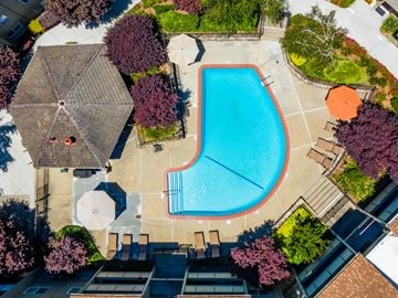Castro Valley townhouse for rent - An aerial view of a swimming pool surrounded by trees and umbrellas.