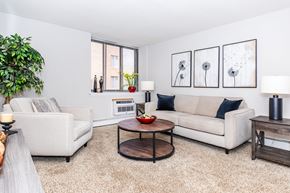 Middletown apartment for rent - A living room with a white couch, a coffee table, and a potted plant.