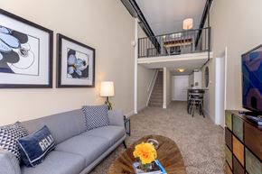 Manchester apartment for rent - A living room with a grey couch and a coffee table with a yellow flower on it.
