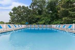 New London apartment for rent - A large blue swimming pool surrounded by trees.