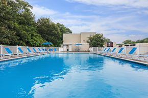 New London apartment for rent - A large blue swimming pool with white lane dividers.