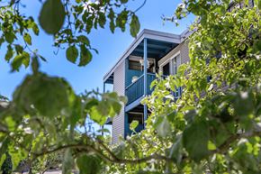 East Haven apartment for rent - A building with blue railings is framed by green leaves.