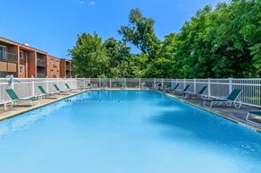 Groton apartment for rent - A large blue swimming pool surrounded by green trees and chairs.