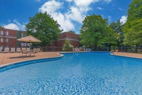 Middletown apartment for rent - A large swimming pool surrounded by trees and chairs.