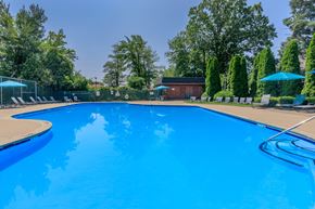 East Hartford apartment for rent - A large blue swimming pool surrounded by trees and a building.