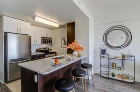 New Haven apartment for rent - Open plan kitchens with stainless appliances at 360 State Street, Connecticut, 06510