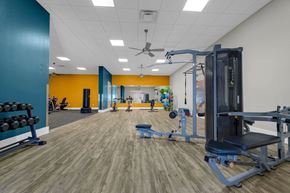 Orlando apartment for rent - A gym with a variety of equipment including a squat rack, bench, and weights.