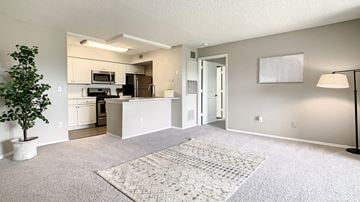 Bradenton apartment for rent - A living room with a rug on the floor and a tree in a pot.
