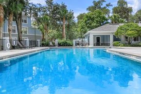 Jacksonville apartment for rent - A swimming pool surrounded by palm trees and a building.