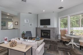 Atlantic Beach apartment for rent - A living room with a fireplace and a television.