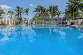 Bradenton apartment for rent - A large blue swimming pool surrounded by trees and a fence.