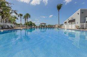 Bradenton apartment for rent - A large swimming pool surrounded by palm trees and a building.