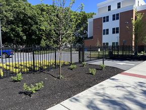 New Haven triplex for rent - A black fence surrounds a small tree in front of a building.