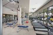 Orlando apartment for rent - a gym with weights and cardio equipment and windows at Azul Baldwin Park, Orlando, FL
