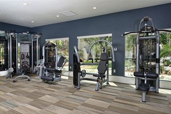 Weight machines in gym 