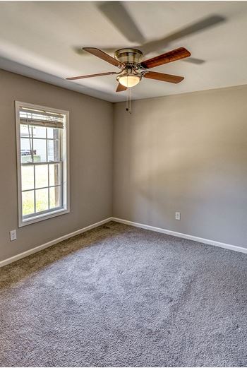 Ceiling fans