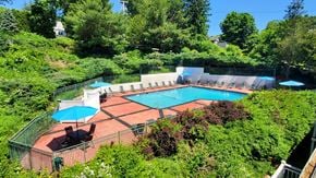 Norwich apartment for rent - A pool surrounded by greenery and trees.