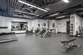 New Haven apartment for rent - A gym with a variety of exercise equipment including treadmills, rowing machines, and weight machines.