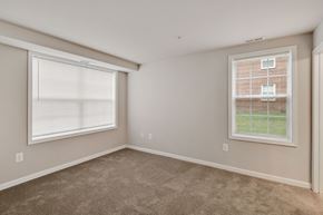 Windsor Mill apartment for rent - an empty living room with two windows and carpeting