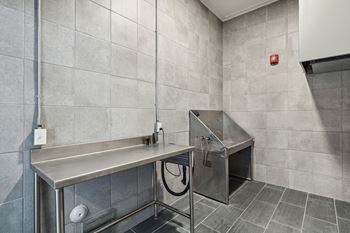 Dog wash station with a stainless steel sink and a table