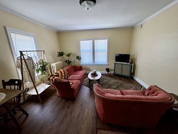 Winona apartment for rent - a living room with couches and a table and a tv