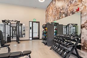 Buckeye apartment for rent - A gym with a variety of equipment including treadmills, weights, and exercise machines.