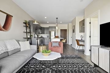 Maple Grove apartment for rent - A modern living room with a grey sofa and a pink armchair.