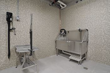Pet wash