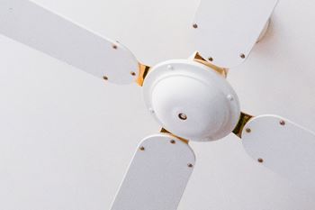 Ceiling fan