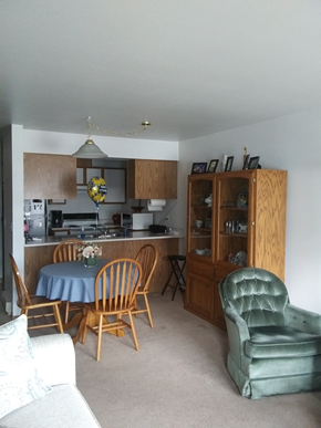 Hayden apartment for rent - Sarah Street Kitchen and Living Room View