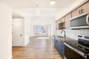 Portland apartment for rent - A kitchen with a white door and a black stove top oven.