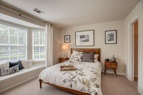 Sterling apartment for rent - Comfortable Bedroom at Cascades Overlook, Sterling, 20165