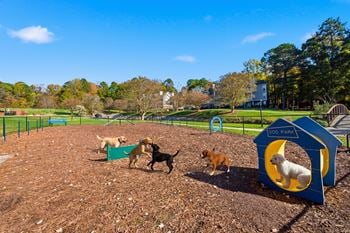 Dogs playing in a park with a blue play structure