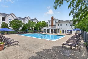 Woodbridge apartment for rent - A swimming pool surrounded by lounge chairs and umbrellas in a residential area.