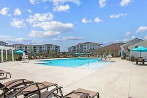 Bowie apartment for rent - A large swimming pool surrounded by lounge chairs and umbrellas at Fairmont at South Lake, Bowie, 20716